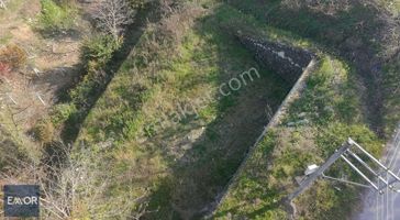 Emor Gayrimenkul Den Efirli De Satılık 1500 M2 Arsa