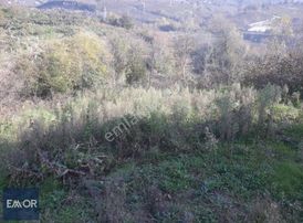 Emor Gayrimenkul Den Efirli De Satılık 1500 M2 Arsa