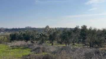 Tur-beylerden Evrensekide Köşe Başı Satılık Villa Arsası