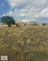 Konya Meram Yatağan Da İphone 17 Parasına Hisseli Hobi Bahcesi