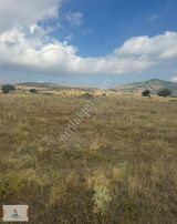 Konya Meram Yatağan Da İphone 17 Parasına Hisseli Hobi Bahcesi