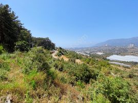 Alanya Kargıcak'ta Yatırımlık Ticari+konut İmarlı Arsa