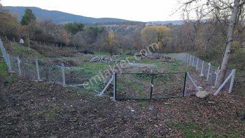 Mengen Babahızır Köyünde 3,5 Dönüm Satılık Köyiçi İmarlı Arsa