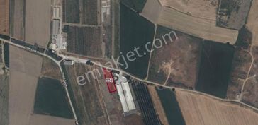 Turpa Lotus'tan Yatırımlık Tek Tapu Yol Kenarı 1.730 M2 Tarla