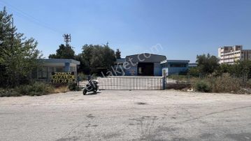 Zorlu'dan İncirlik Yol Üzerinde 3500 M2 Arsa 1200m2 Kapalı