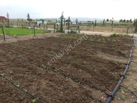 Araç Takaslı Satılık Hobi Bahçeleri