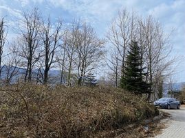 Başiskele Aksığın Mah. 2000 M2 Kadastro Yollu Satılık Arazi