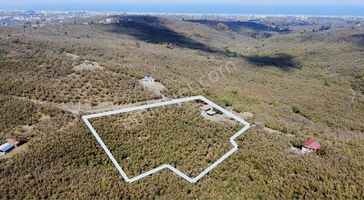 Merkeze Yakın Deniz Manzaralı 9.790 M2 Fındık Bahçesi Takas Olur