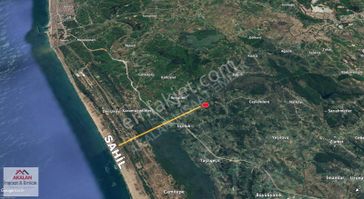 Resuller'de Resmi Yola Cepheli 7.667 M2 Bakımlı Fındık Bahçesi