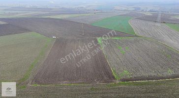 Babaeski Ertuğrul Köyünde 5010 M2 İmar Sınırı Satılık Tarla