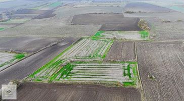 Babaeski Ertuğrul Da 2826 M2 Satılık Tarla