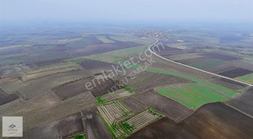 Babaeski Ertuğrul Da 2826 M2 Satılık Tarla