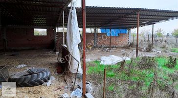 Babaeski Çavuşköy De Satılık 2115 M2 İmarlı Arsa Ev Ve Ahırlar