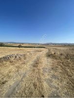 Balnova Dan Kepsut Hotoşlar Mah 4300 M2 Satılık Tarla