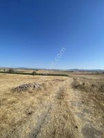 Balnova Dan Kepsut Hotoşlar Mah 4300 M2 Satılık Tarla