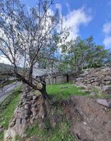 Çanakkale Ayvacık Kaz Dağları Özel Müstakil 655 M Arsa Ve Ev