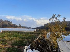 Mersin Erdemli Gücüşte 8 Dönüm Sera Ve İçinde 3+1 Ev