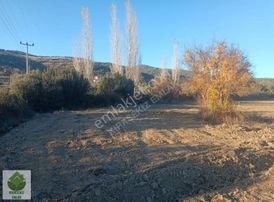 Muğla Menteşe Gevenes'de Çiftlik Kurulumuna Uygun Büyük Tarla..