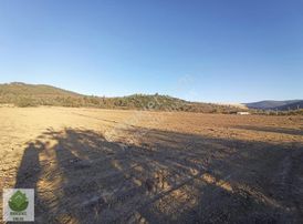 Muğla Menteşe Gevenes'de Çiftlik Kurulumuna Uygun Büyük Tarla..