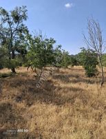 Burdur Yeşılova Harmanlı