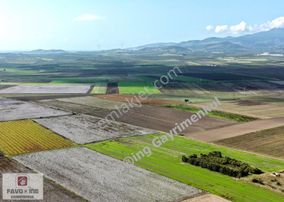 Bergama Yeniköy Tarlaları | 8.020 M2 Düz Ova | Satılık Tarla