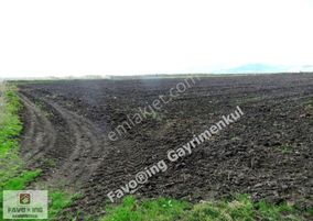 Bergama Aşağıkırıklar | 4.802 M2 Düz Ova | Satılık Tarla