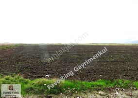 Bergama Aşağıkırıklar | 4.802 M2 Düz Ova | Satılık Tarla