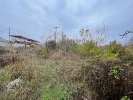 Uzunalan'da %40 İmarlı Asfalta Cephe Fırsat Arsa