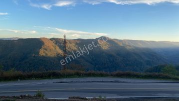 Ünye, Niksar/tokat Kadastral Ana Yola Cephe Vadi Manzaralı