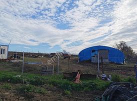 Bursa Yenişehir Çelebiköy De Satılık Kupon Çiftlik Ve Arazisi.