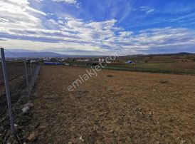Bursa Yenişehir Çelebiköy De Satılık Kupon Çiftlik Ve Arazisi.