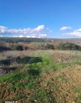 Bilge Emlak'tan Şarköy Gölcük'te Bağ Evi Ve Bahçesi