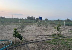 Manisa Salihlide Yolkenarı İçinde 80m2 Evi Ve Hertürlü Meyvenin Olduğu 1885m2 Tektapu Arazi