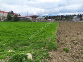 Son Fırsatı!! 3360 M2 Satılık Arazi!!!