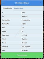 Bm Real Estateyörükyenicesi'nde Yola Cephe 1777 M2 Zeytinlik