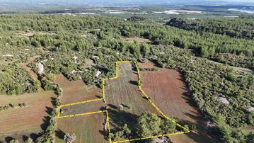 Yatırım Ve Hobi İçin Müstakil Tapulu 9549 M2 Tarla