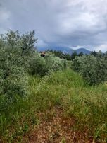 Kaş Kınık'ta Satılık Arazi