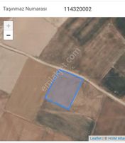 Sahibinden Yol Kenarı Verimli Tarla!!!!