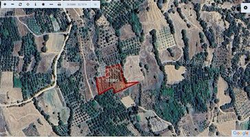 Talha Tozduman'dan Ermenek Y.çağlarda 2.209m M.tapulu Kup10bahçe