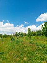 Talha Tozduman'dan Ermenek Y.çağlarda 2.209m M.tapulu Kup10bahçe