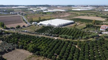 İdamax'tan Yeniköy'de Tek Tapu Satılık Portakal Bahçesi