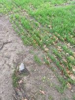 Kadastral Yolu Var, Fiyatı Uygun Tutulmuştur