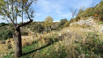 Joker: Marmaris Söğüt Panoramik Deniz Manzaralı Tarla