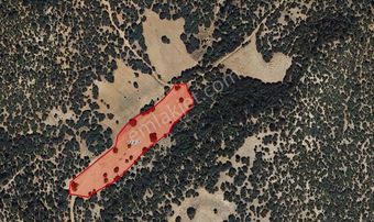 Kütahya Merkez Çöğürlerde, Yatırımlık 9 Dönüm Müstakil Tek Tapu