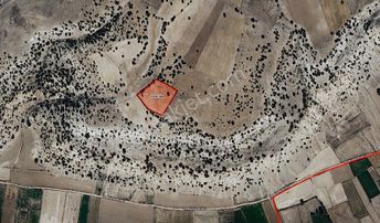 Kütahya Merkez Çöğürler Yatırımlık 6.5 Dönüm Müstakil Tek Tapu