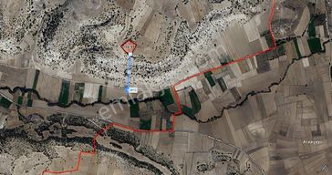 Kütahya Merkez Çöğürler Yatırımlık 6.5 Dönüm Müstakil Tek Tapu