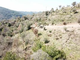 Güzelbahçe Payamlı'da Satılık Merkezi Yolu Açık Fırsat Tarla