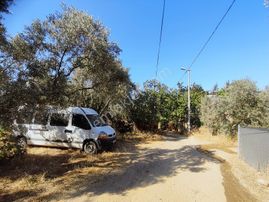 Realty Nexus'dan İznik Göllüce'de Fırsat Arazi