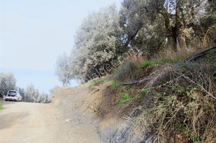 Her Sabah Göl Manzarasıyla Uyanın Müşkülede Doğanın Kalbinde