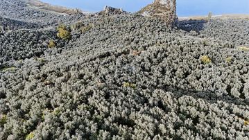 Her Sabah Göl Manzarasıyla Uyanın Müşkülede Doğanın Kalbinde
